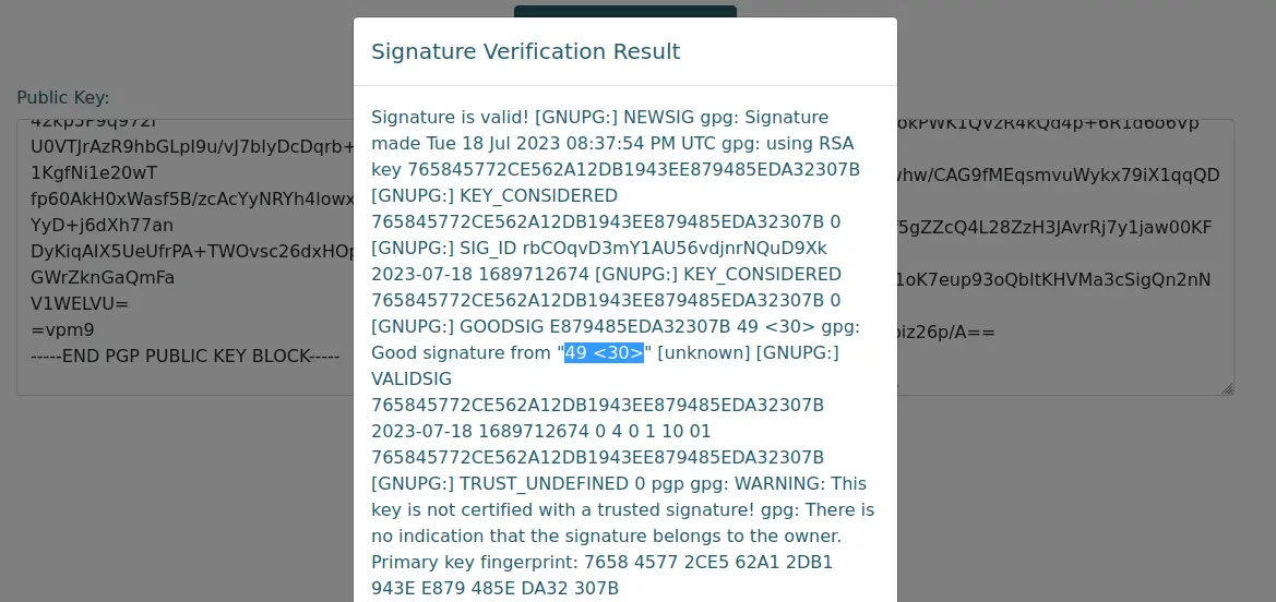 ssti verify msg detection